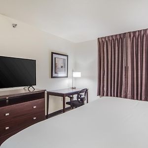 King Room Disability Access